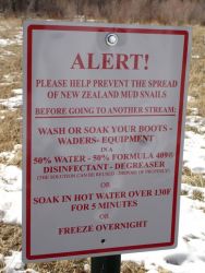 Warning sign for invasive New Zealand mud snails Image