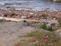 Pollution on the Baltic Sea Coast Image