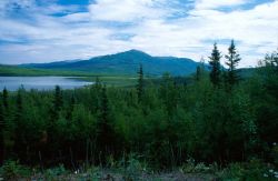 Alaska Mountain Range Image