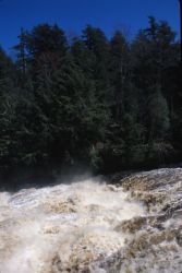 Presque Isle River Image