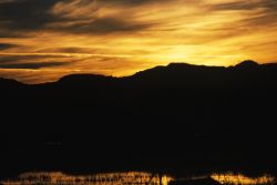 Sunrise at Bosque Del Apache National Wildlife Refuge Image