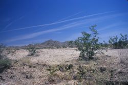 Mojave Desert Image