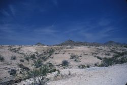 Mojave Desert Image
