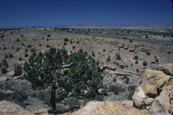 Eastern Utah Image