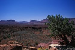 Eastern Utah Image