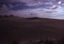 Sand Dune Formation Image