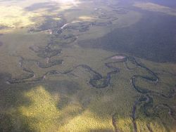 Meandering River in Northern Paraguay Image