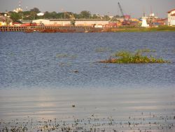 Wetland in Asuncion Bay Image