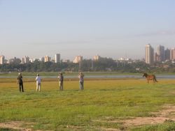 Bird Watchers with Mule Image