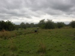 Pipeline for rice irrigation in southern Paraguay Image