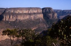 Kruger National Park Photo