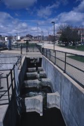 Fish Ladder Image