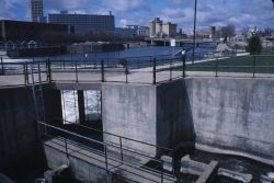 Fish Ladder Image