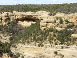 Mesa Verde National Park Image
