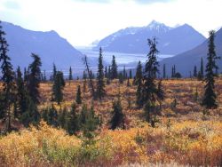 Mountains, a glacier, and fall colors. Image