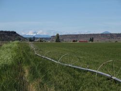Mount Jefferson, a peak in the Cascades is centered in a notch in Columbia River basalts Image