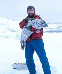 Budd Christman and a new friend - spotted seal - Phoca largha. Image