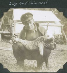 A crewman from a C&GS ship in Alaska with a harbor seal pup (Phoca vitulina) . Image