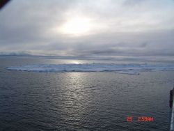 Open water with a large ice floe Image