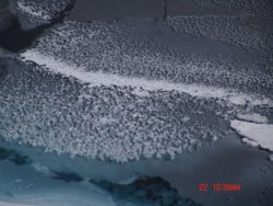 Odd arrangement of ice crystals reminiscent of honeycomb Image