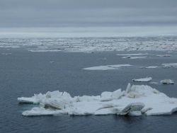 Large floes that show evidence of having been jostled and overrun by nearby floes in rough seas. Image