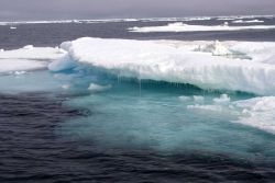 Melting pack ice. Image