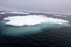 Melting pack ice. Image