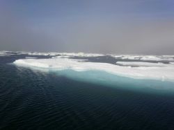 Melting pack ice. Image