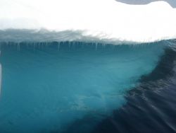 Subsurface of melting ice floe Image