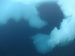 Subsurface ice seen below melting floe. Image