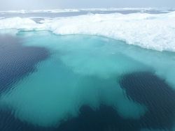 Fantastic shapes of melting ice below surface floe. Image