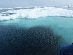 Ice floes Image