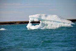 Looking like a shark's mouth, a floe is melting in the waters off Demarcation Point. Image