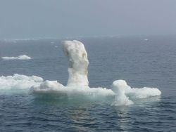 Possibly a remnant of a pressure ridge. Image
