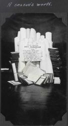 Field records associated with the SURVEYOR 1925 season in SE Alaska. Image