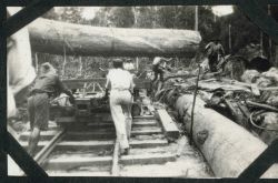 A huge log being placed on a railroad car at Batottan, British North Borneo. Image