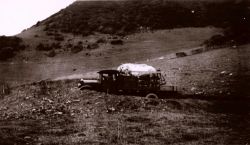 Loading the horses, the survey crew would back the truck up to a road bank and they would walk on board Image