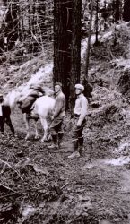 Lieutenants Charles Pierce and William Tucker on the way to Pico Blanco. Image