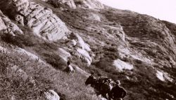 Packing into a station in the Santa Lucia Mountains south of Monterey Image