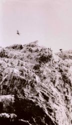 An offshore triangulation station location Image