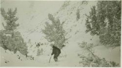 Party chief Lieutenant Jack Johnson in the high Sierra on the west side of Owens Valley, California Image