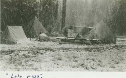 Headquarters camp of Lieutenant Ector B Image