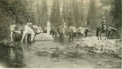 Horse-packing into a station along the 46th Parallel Image