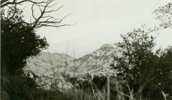 Old Baldy, barely visible in the distance, as seen from Station Atacosa Image