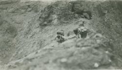 Packing up Hawk Peak, 10627 feet, in the Pinaleno Mountains Image