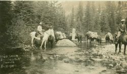 A photo opportunity along Cliff Creek in the Lolo National Forest area along the Idaho-Montana border Image