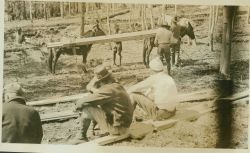 Packing mules with lumber to build tower on Mt Image