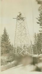 Forty foot tower built on Mount Graham in the Pinaleno Mountains Image