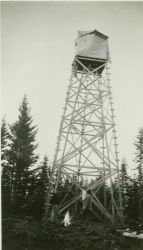 Forty foot tower built on Mount Graham in the Pinaleno Mountains Image