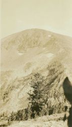 A view of Mount Lolo, location of a triangulation station. Image